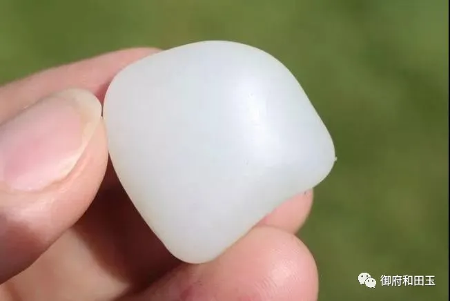 刷新纪录！一块卖到138万的光白籽！光白籽的春天要来了吗？